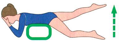 Исх. позиция: лежа на животе (под животом – валик). Поочередное поднимание ног от кушетки на 3–5см и удерживание их в этом положении 4–5с